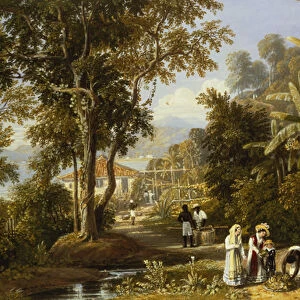 Garden Scene on the Braganza Shore, Rio de Janeiro, 1827