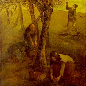 Gathering Apples (oil on canvas)