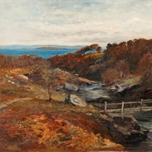 Glen Sannox, Arran, 19th century (oil on canvas)