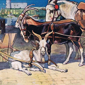 Goats resting, illustration from Helpers Without Hands by Gladys Davidson, published in 1919 (colour litho)