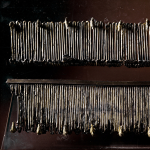 Golden fasteners, 675-650 BC