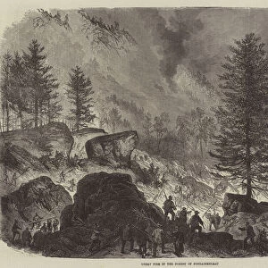 Great Fire in the Forest of Fontainebleau (engraving)