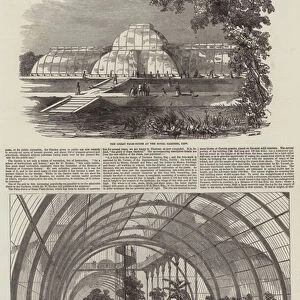 The Great Palm-House at Kew Gardens (engraving)