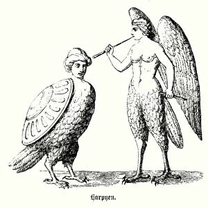 Harpies, half-human and half-bird creatures of Greek and Roman mythology (engraving)