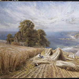 Harvesting on the South Coast, 1869 (w / c & bodycolour on paper)