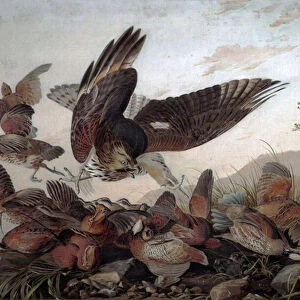 Hawks Attacking Partridges, 1826 (oil on canvas)