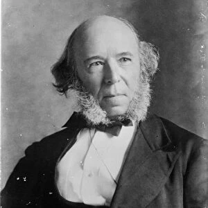 Herbert Spencer (1820-1903) (b / w photo)