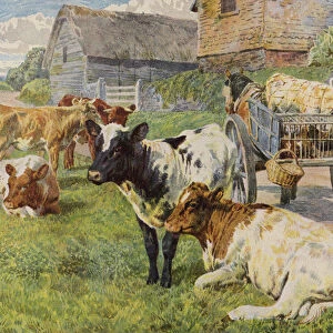 Herd of cows and a calf in a horse-drawn cart (colour litho)