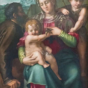 S Collection: Francesco de Rossi Salviati Cecchino