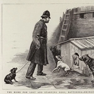 The Home for Lost and Starving Dogs, Battersea, bringing in a New Comer (engraving)