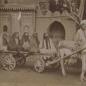 Horse-Drawn Cart, Cairo, 1893 (b / w photo)