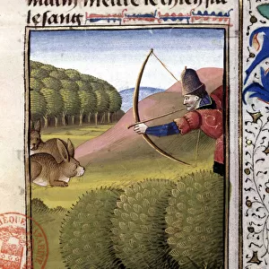 Hunting a bow: hare - in "Book of Hunting by Gaston Phoebus, Count of Foix