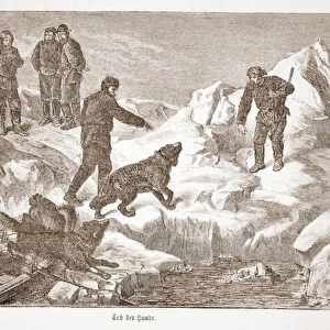 Hunting with dogs, 1876 (engraving)
