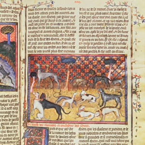 Hunting Dogs by Gaston III, Comte de Foix Phebus le Chasseur (1331-91)