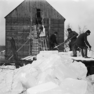 Ice harvesting, shooting the cakes into the house, c. 1903 (b / w photo)