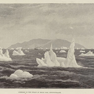 Icebergs in the Strait of Belle Isle, Newfoundland (litho)