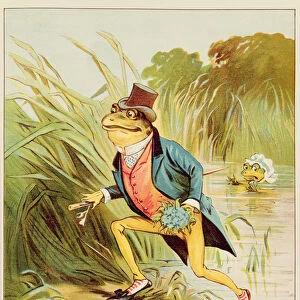 Illustration from A Frog He Would A-Wooing Go (w / c on paper)