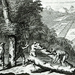 Illustration from The Reasons for establishing the Colony of Georgia by Benjamin Martyn