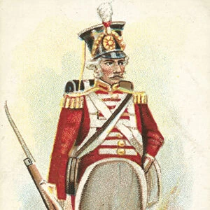 Infantry Of The Line, 1817 (chromolitho)