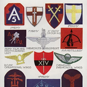 Insignia of Allied forces, World War II, 1939-1945 (colour litho)