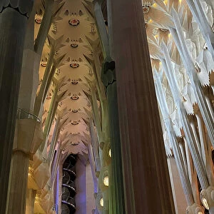 Interior, Sagrada Familia, Barcelona, Spain (photo)