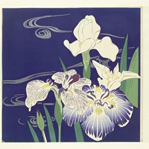 Irises, 1890-1900 (woodblock print)