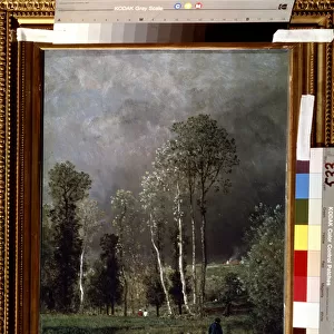 La progression de l orage (Progressing storm). Peinture de Constant Troyon (1810-1865). Huile sur bois, 53 x 38, 5 cm, 1851. art de Barbizon, France. Musee des Beaux Arts Pouchkine, Moscou