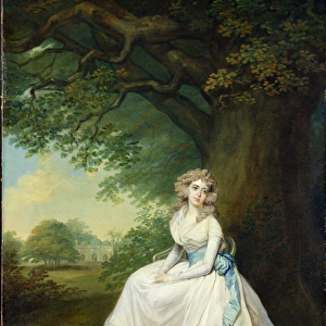 Lady Chambers, c. 1789 (oil on canvas)