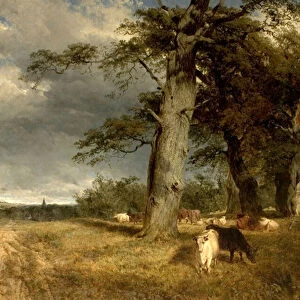 Landscape in the Dukeries, Nottinghamshire, 1850 (oil on canvas)
