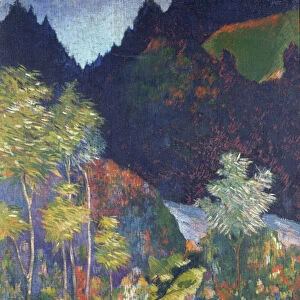 Landscape (oil on canvas)