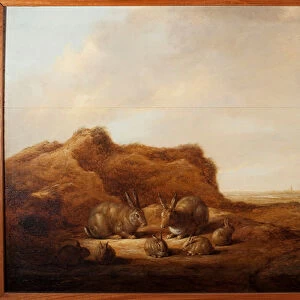 Landscape with Rabbits Painting by Albert (Aelbert or Aelbrecht) Cuyp (1620-1691