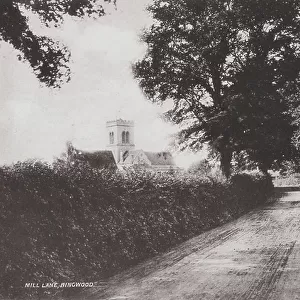 Hampshire Collection: Mill Lane