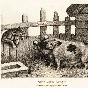 A large sow in a pig sty snarling at a wolf. 1811 (etching)