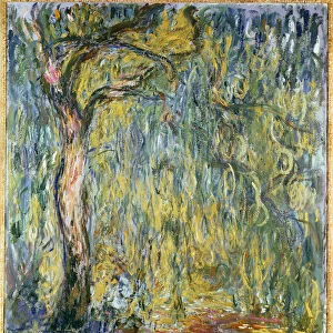 The Large Willow at Giverny, 1918 (oil on canvas)