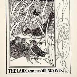 The Lark and her Young Ones, from A Hundred Fables of Aesop, pub. 1903 (engraving)