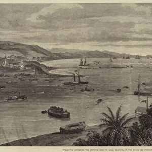 The Late Prince Imperial, Steam-Tug conveying the Princes Body to HMS Boadicea, in the Roads off Durban (engraving)