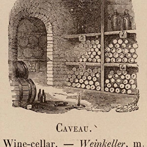 Le Vocabulaire Illustre: Caveau; Wine-cellar; Weinkeller (engraving)