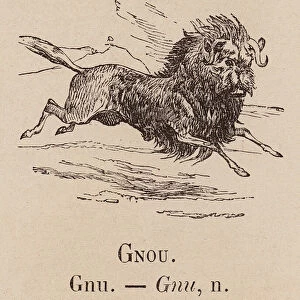 Le Vocabulaire Illustre: Gnou; Gnu (engraving)