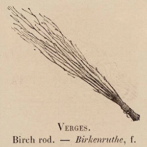 Le Vocabulaire Illustre: Verges; Birch rod; Birkenruthe (engraving)
