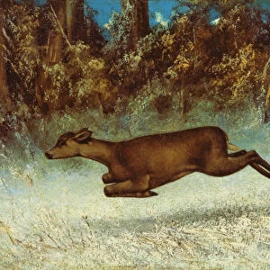 Leaping Doe (oil on canvas)