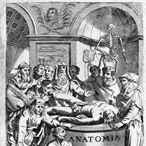 A lecon of anatomy Frontispice takes from "Anatomia Reformata"