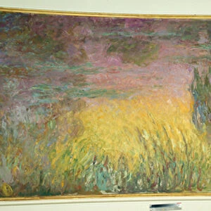 Les nympheas, soleil couchant Painting by Claude Monet (1840-1926