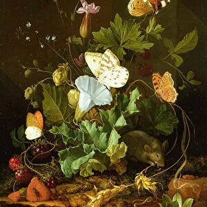 Still Life of a Forest Floor with Flowers, a Mouse and Butterflies (oil on panel)