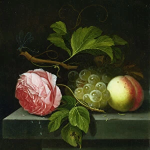 A Still Life with a Rose, Grapes and Peach, 17th century