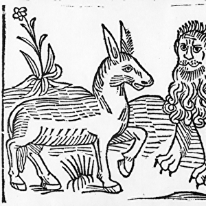 The Lion and the Ass, illustration from Caxtons Aesops Fables