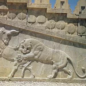 Lion fighting a bull, relief on the east staircase of the Apadana, Achaemanian Period, c