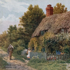 Little Janes Cottage, Brading, Isle of Wight (colour litho)