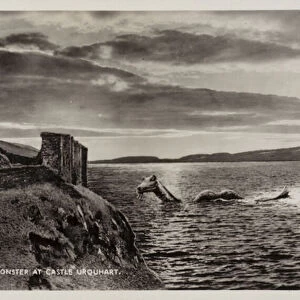 The Loch Ness Monster at Castle Urquhart (b / w photo)