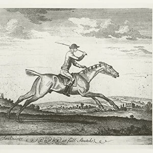 Looby, foaled 1728 (b / w photo)