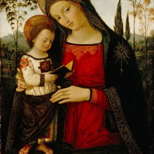 Madonna and Child, c. 1490-1495 (tempera on panel)